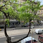 Luxury Apartment In The Central