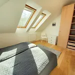 Szamosvilla - Bbq, 8Bdrm, Very Close To Center