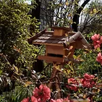 Birdnest Apartment
