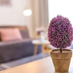 Colours Apartments Deluxe With Free Parking