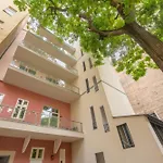 Best Seasons Andrassy