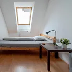 Viola Apartment