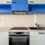 Newly Renovated!!! - Modern Apartment 10 Minutes From The Grand Boulevard