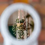 Acme Apartments