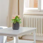 Asboth Downtown Apartment