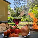 Magyaros-Szecesszios Villa