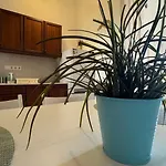Danube Vista Residence