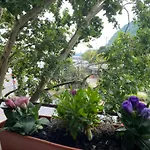 Major Apartman