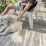 4 Guests: River & Garden Charm
