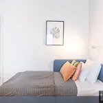 Extreme Central Cozy Studio