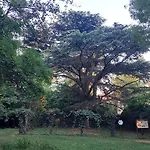 Voeroestorony