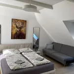 R77 Apartment Downtown - Penthouse