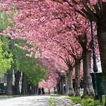 Abt Apartments Karoly