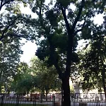 Sunny City Apartment Facing The Park