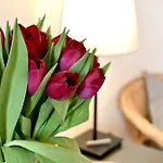 Apartman Callas