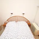 Flat On Andrassy Avenue