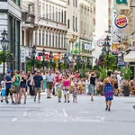 The Fashion Street Apartment