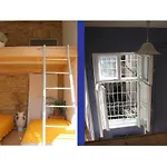 Colored Apartment