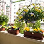 Lovely Corvin Apartment