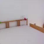 Bpm-Comfy Stay Bajcsy