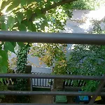 Palm-Apartment