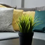 Standard Apartment By Hi5 - Asboth 15