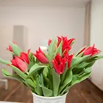 Rafaella Apartment