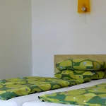 Pet Apartments