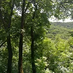 Cabin In The Woods