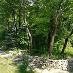 Cabin In The Woods