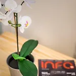 BpR Fleur Créme Apartment