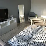 Panoramapanel