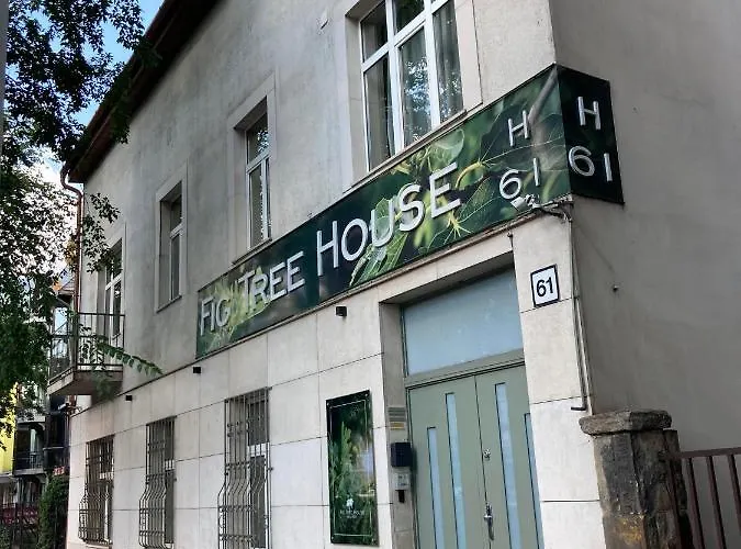 Fig Tree House
