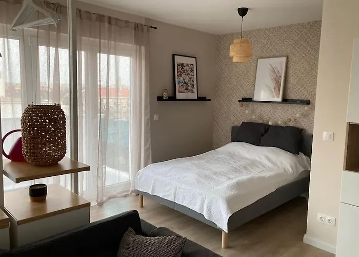 Buda Forrest Hill Apartment