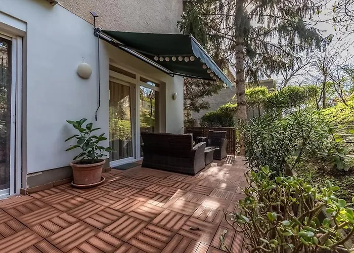 Szabi Buda New Terrace