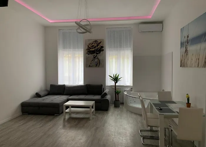 Luxury Apartment In The Central
