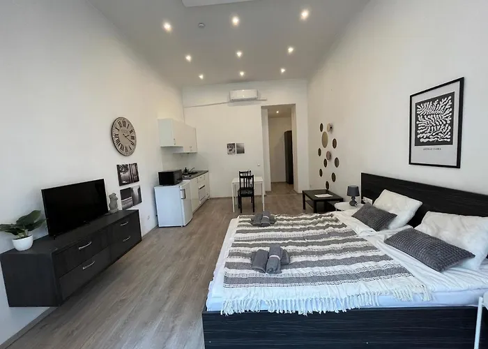 D58 Superior Apartments In The City Center