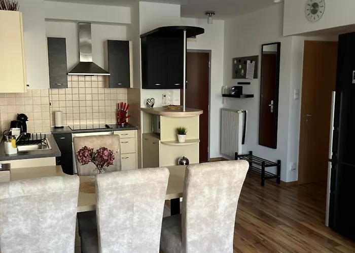 Danube Terrace Apartment With 2 Bedroom With Free Air Conditioner And Private Parking