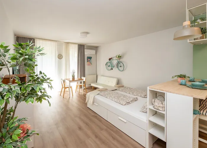 KLAUZÁL 102 CENTER Apartment