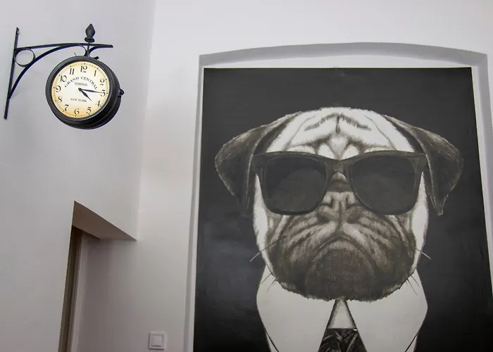 Mops Bob Apartment