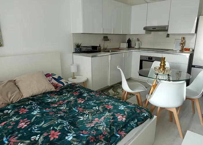 Dagaly Apartment Free Parking In Garage