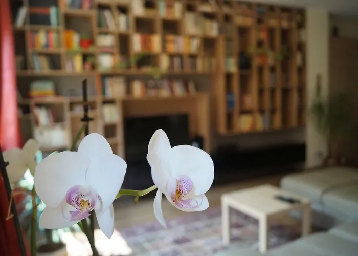 Mamini\'S Apartment