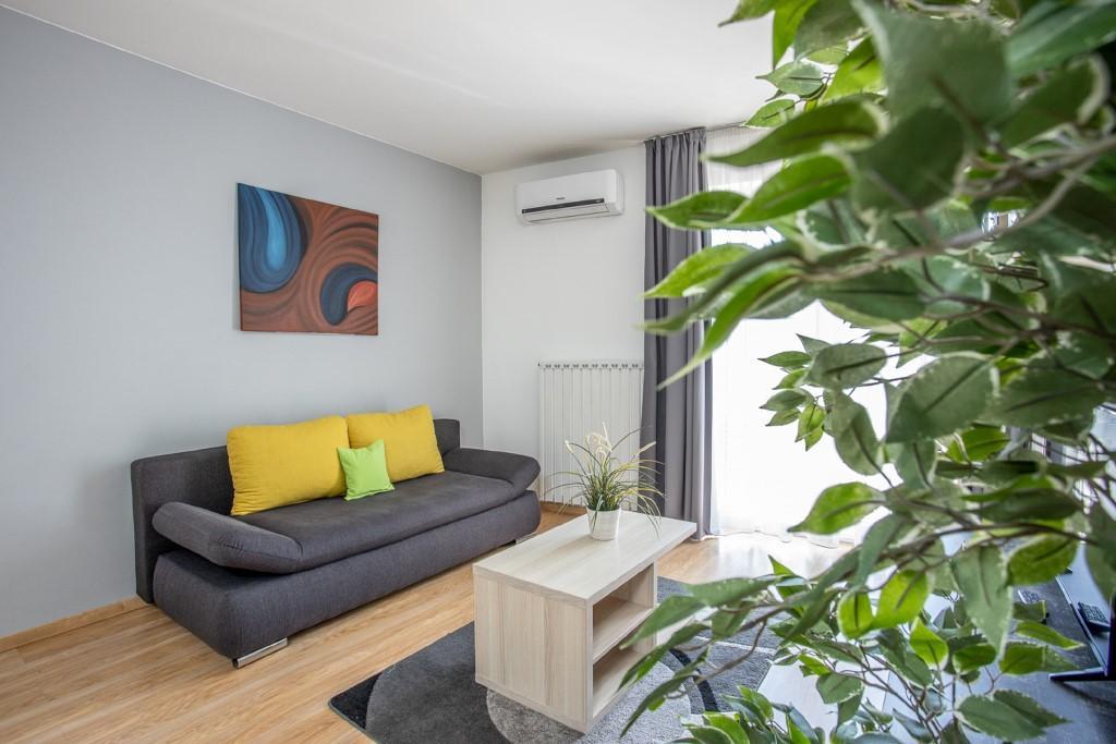 Maple Tree Budget Apartment