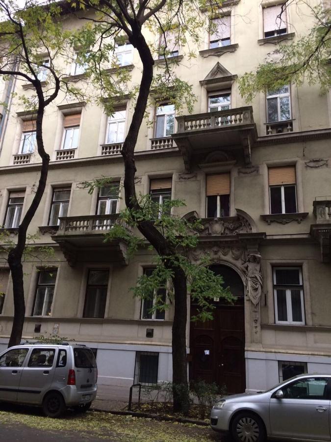 Platanus * Budapest