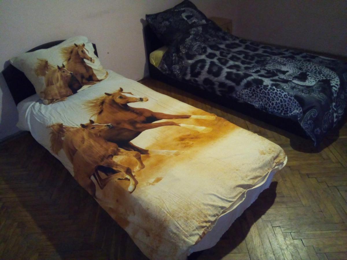 Operahouse Hostel *