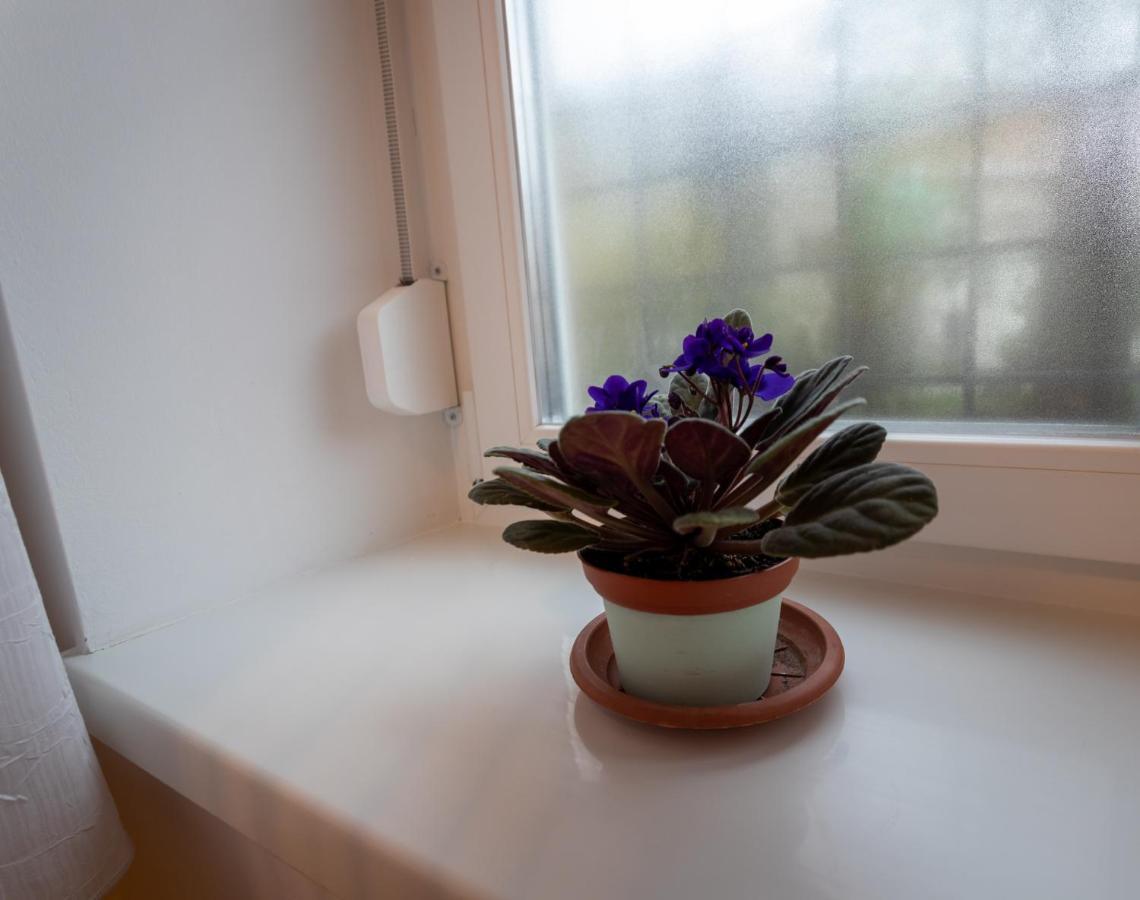 Apartment Sunbird
