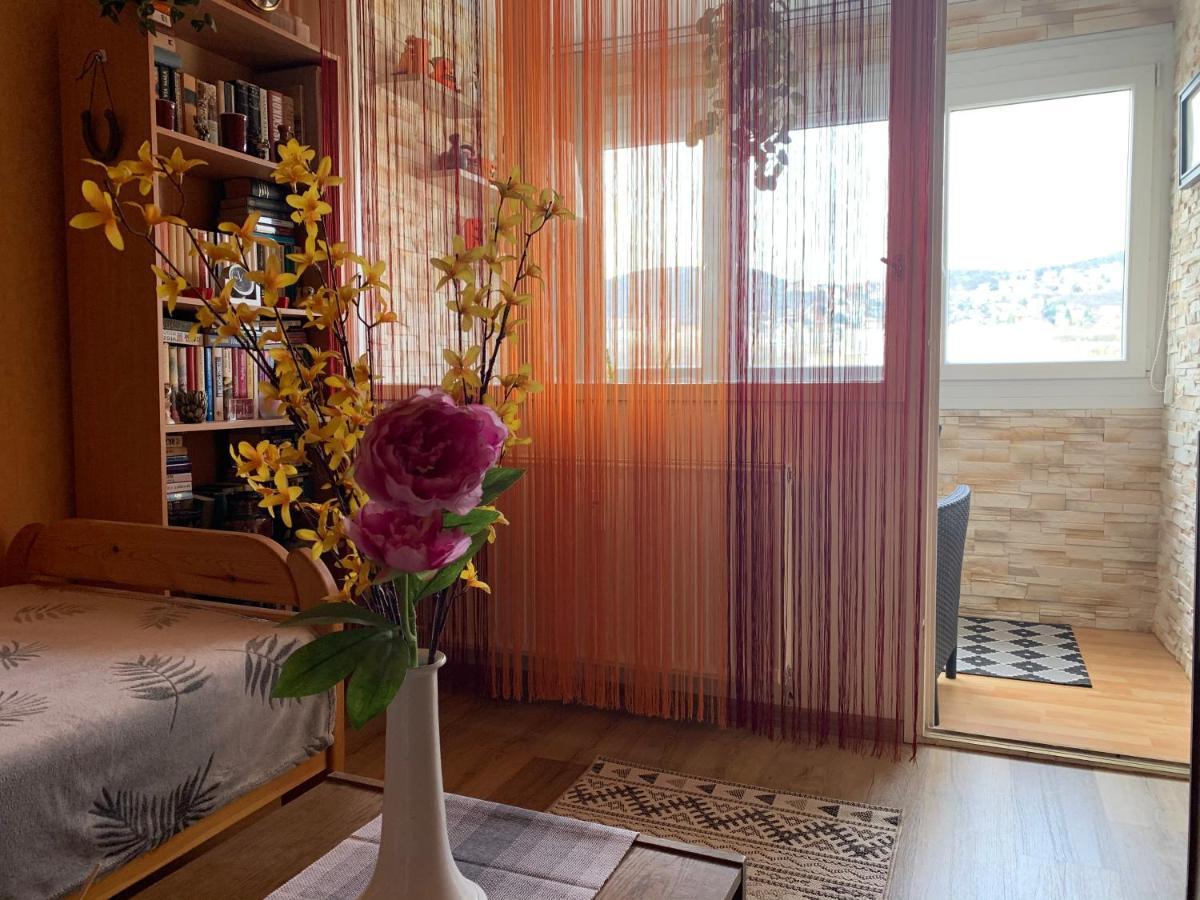 Apartament Simon