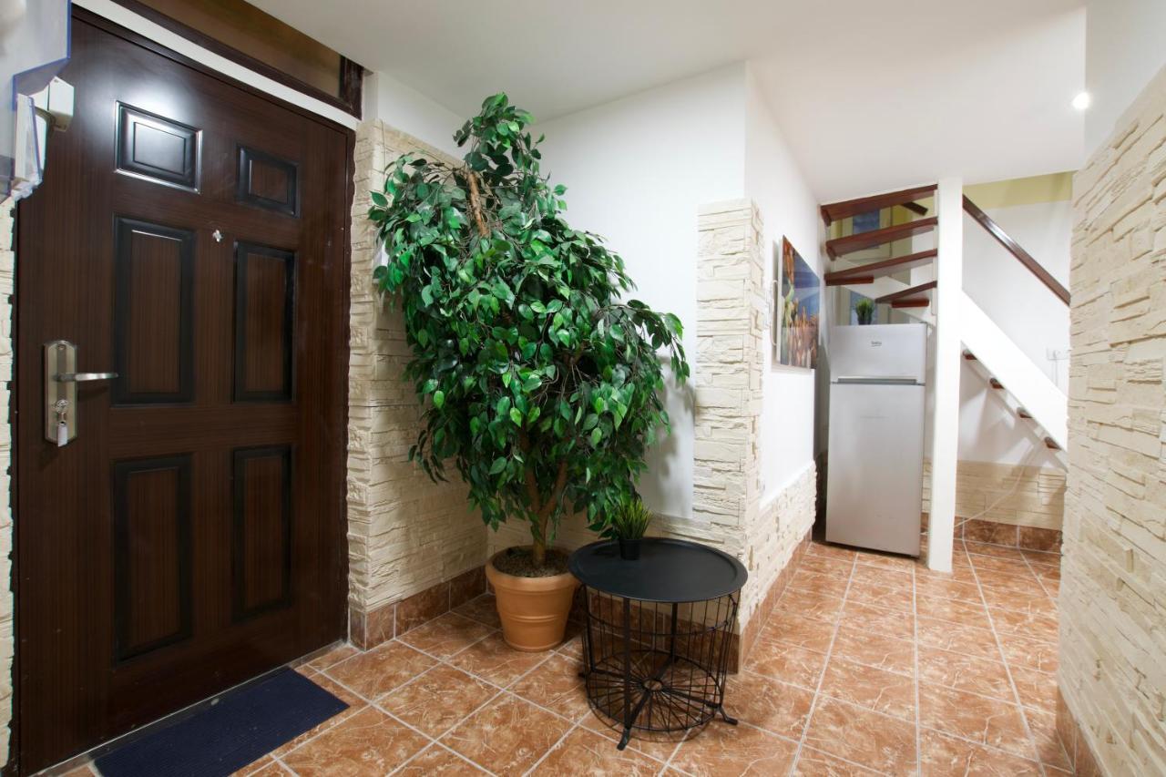 Ecostay Zoltan Street * Budapest