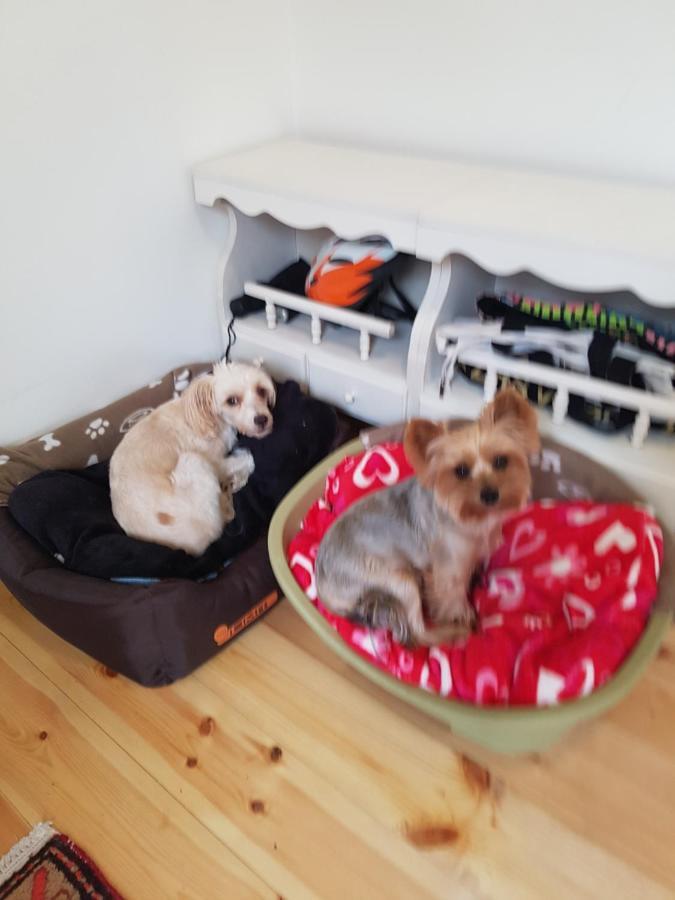 Homestay szállás Családi Haz