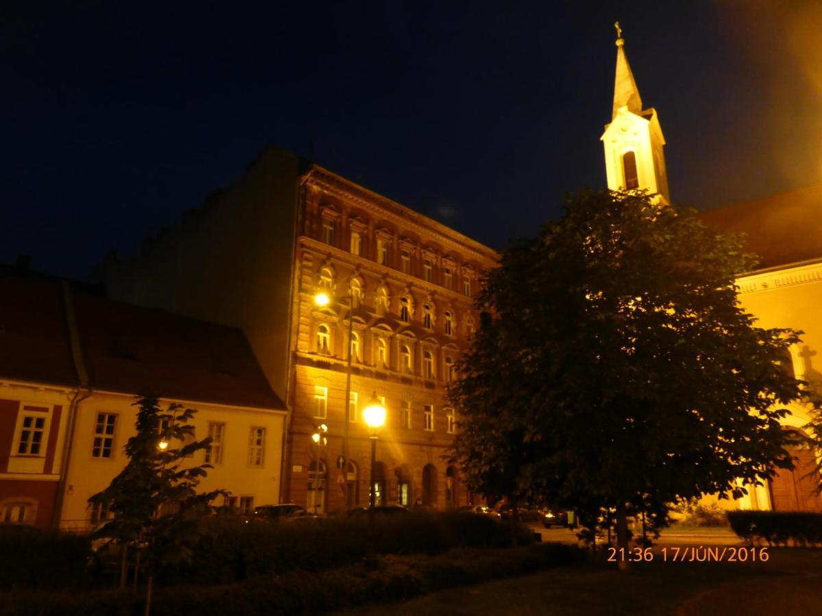 Apartment Elegant With Buda Castle View